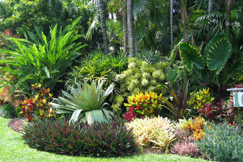Plants best suitable for various types of landscape design