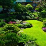 Juniper Shrubs Garden Design Ideas