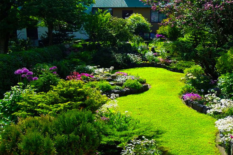 Juniper Shrubs Garden Design Ideas – Stunning For Your Garden