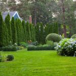 Landscaping Ideas with Juniper