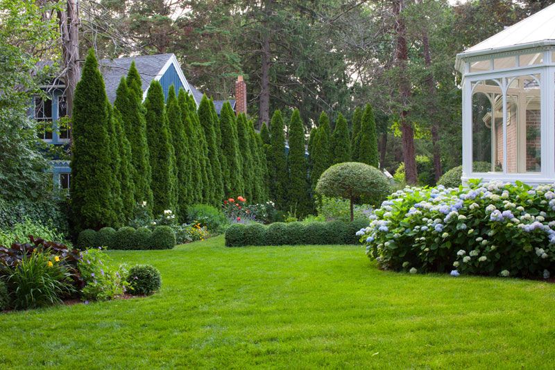 Landscaping Ideas with Juniper Transform Your Yard